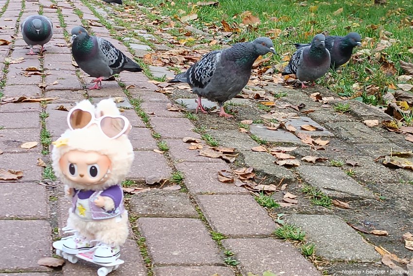 Соя - деловая колбаса — Игрушки Labubu (Лабубу) и The Monsters: Pop Mart (фото 3)