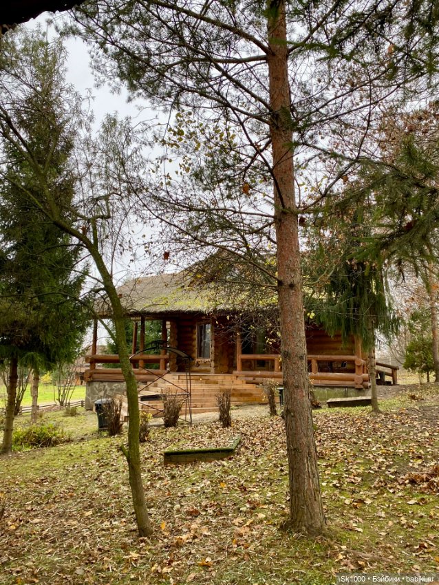 Доброе субботнее утро с Ажур (фото 4)