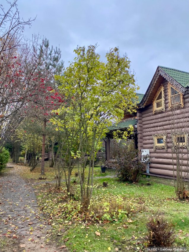 Доброе субботнее утро с Ажур (фото 2)