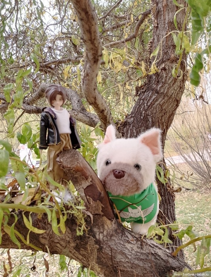 Новенький Зак на прогулке в парке с друзьями)