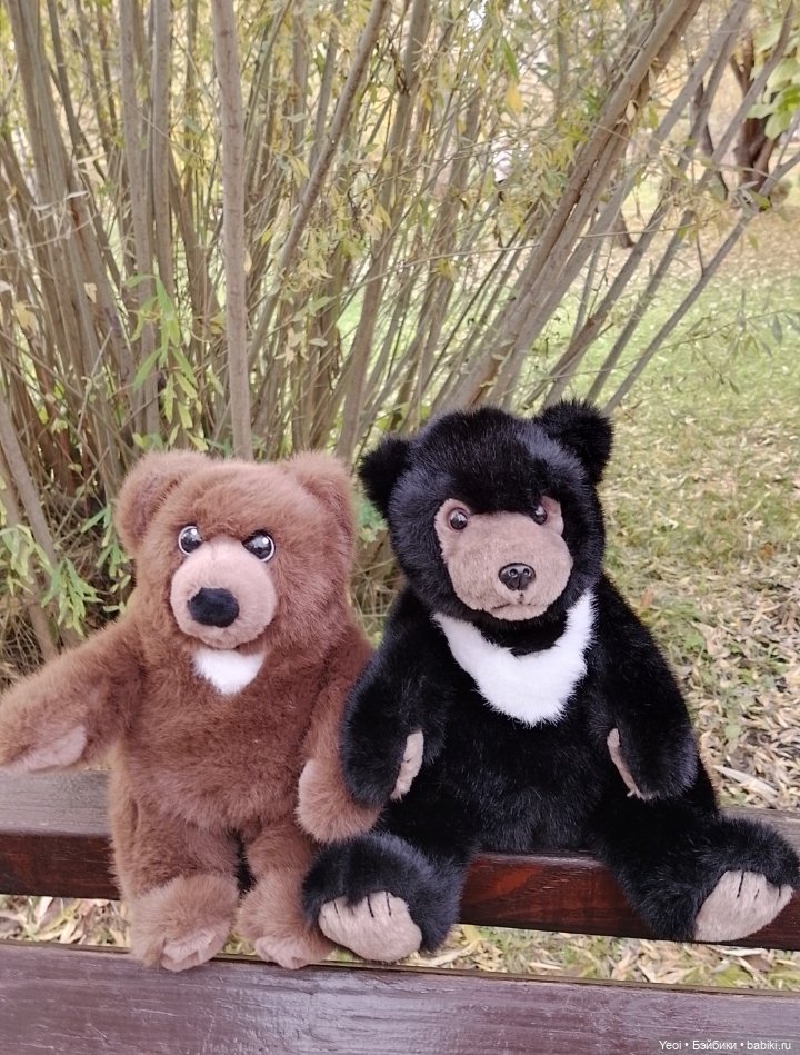 Новенький Зак на прогулке в парке с друзьями)