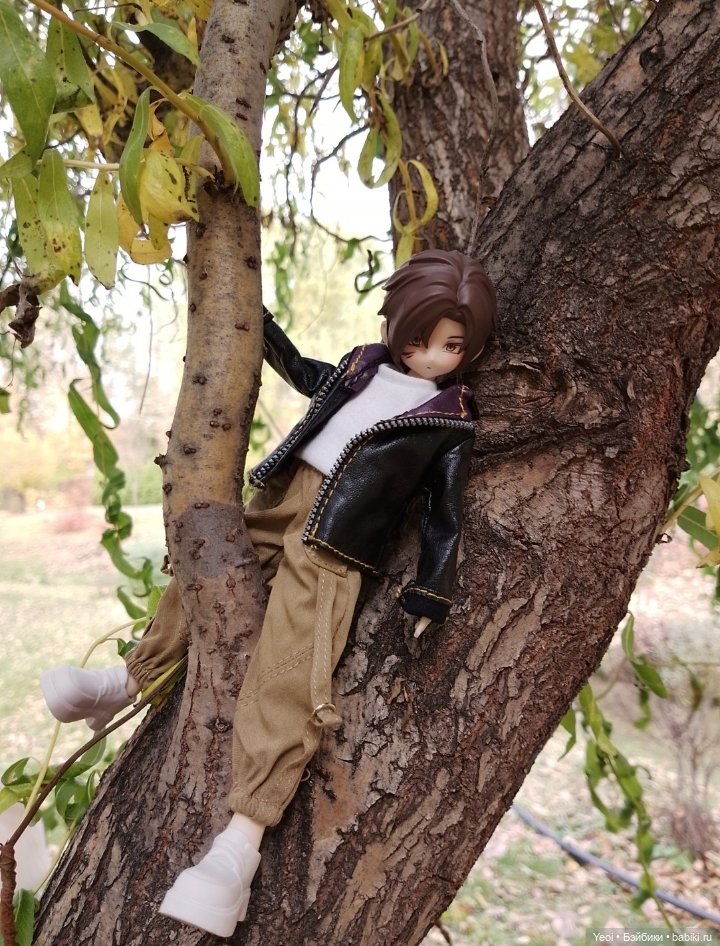 Новенький Зак на прогулке в парке с друзьями)