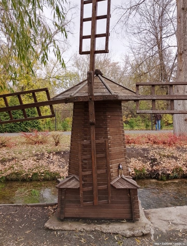 Новенький Зак на прогулке в парке с друзьями)