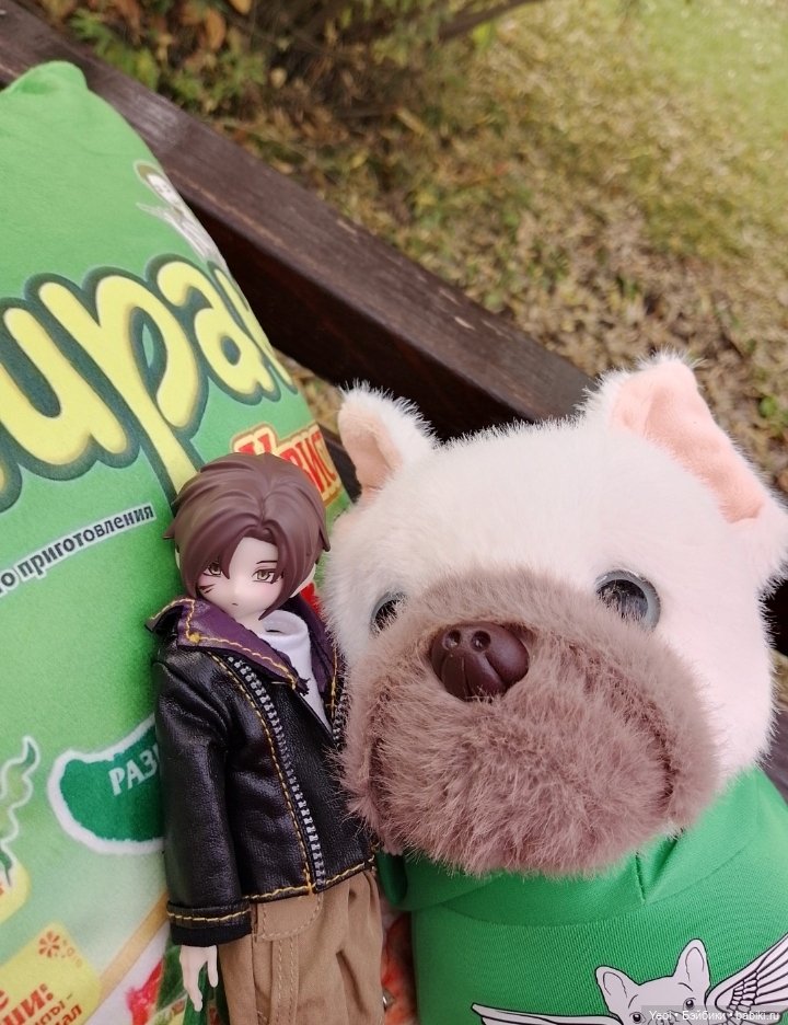 Новенький Зак на прогулке в парке с друзьями) (фото 7)