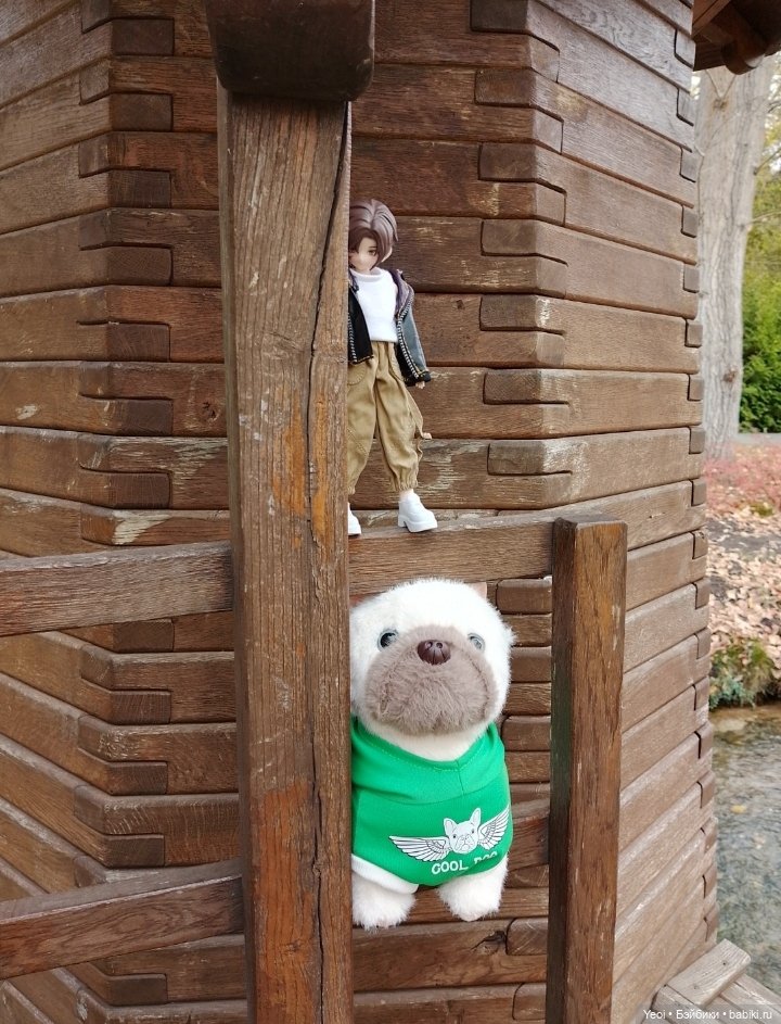 Новенький Зак на прогулке в парке с друзьями)