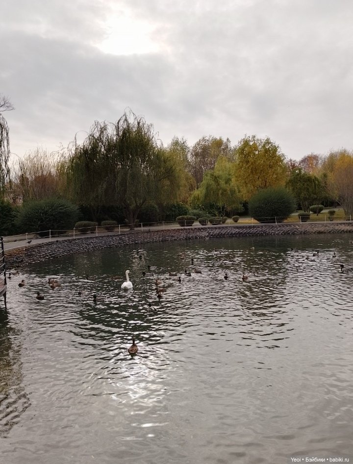 Новенький Зак на прогулке в парке с друзьями)