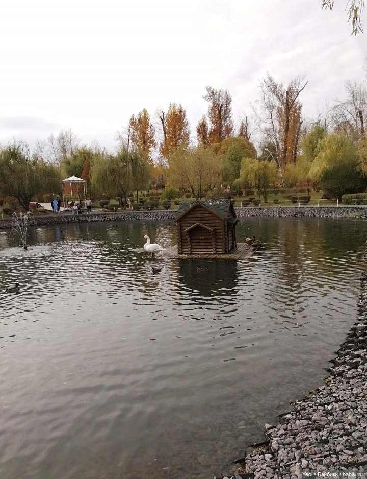 Новенький Зак на прогулке в парке с друзьями)