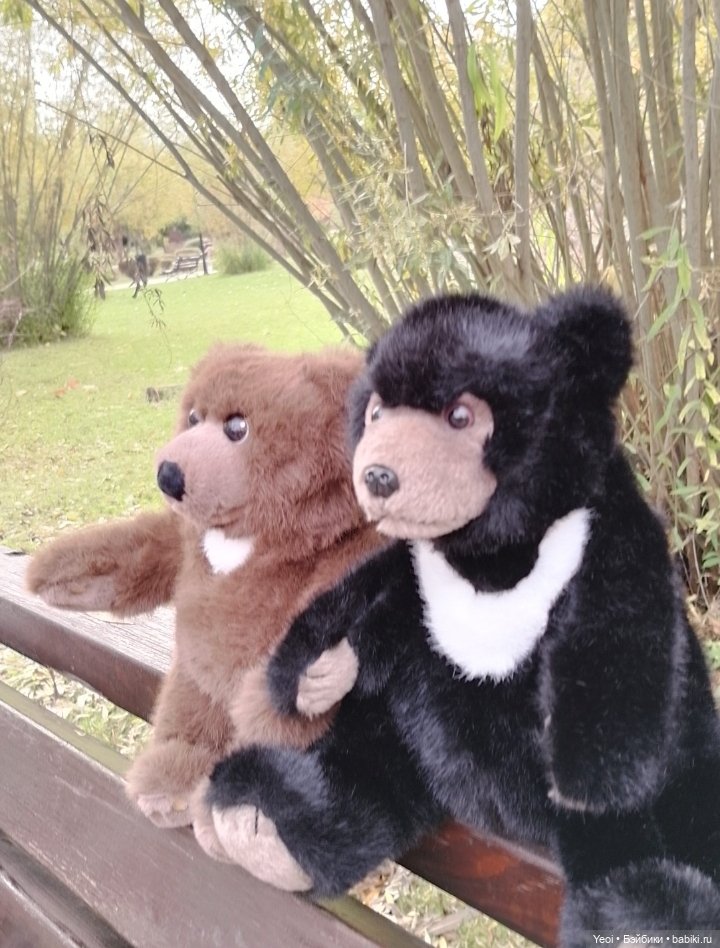 Новенький Зак на прогулке в парке с друзьями)