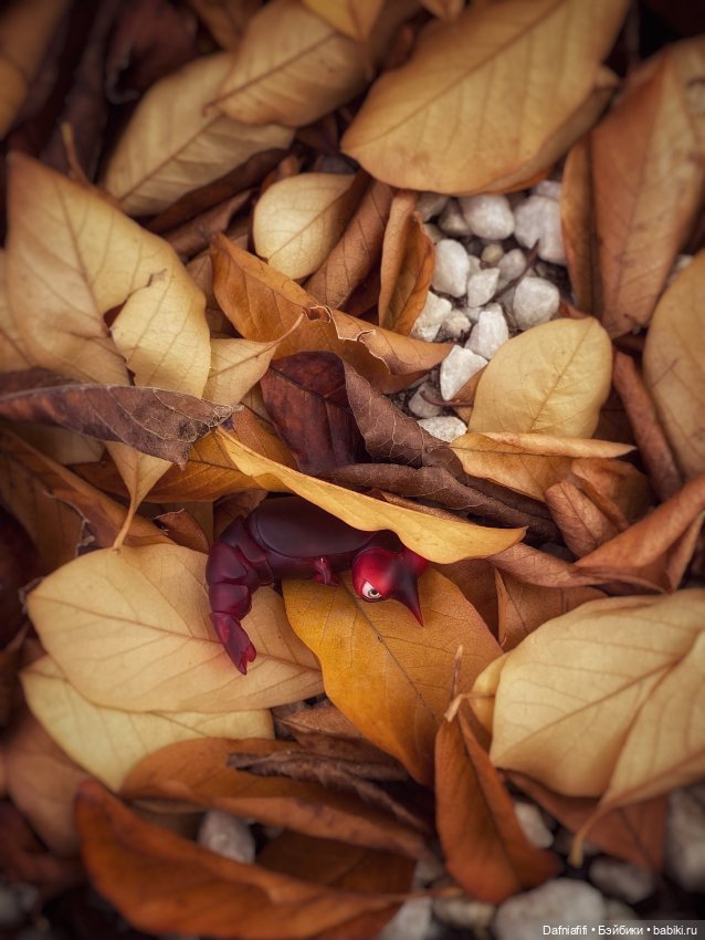 Грюшенька — Авторские куклы BJD (БЖД) у нас дома: фото (фото 9)