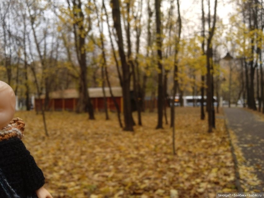 Дюймовочка Аским клёны — Винтажные куклы и игрушки детства: СССР (фото 6)