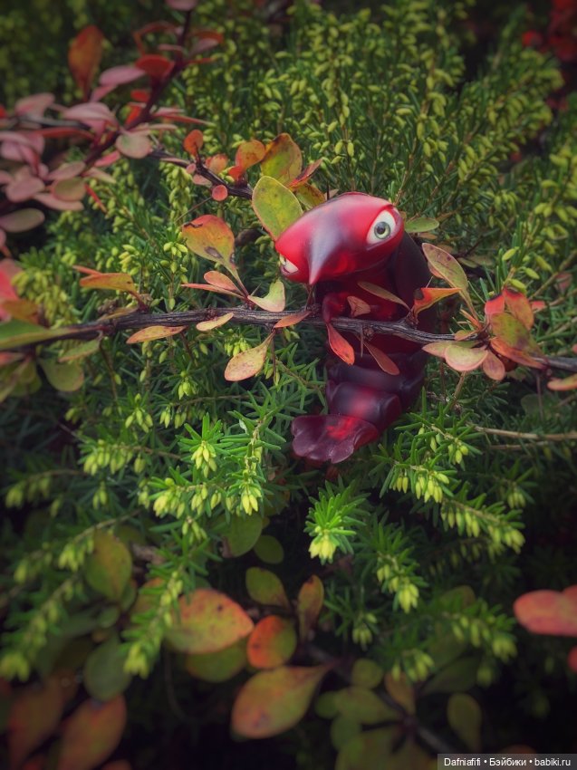 Грюшенька — Авторские куклы BJD (БЖД) у нас дома: фото (фото 7)