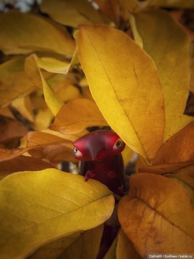 Грюшенька — Авторские куклы BJD (БЖД) у нас дома: фото