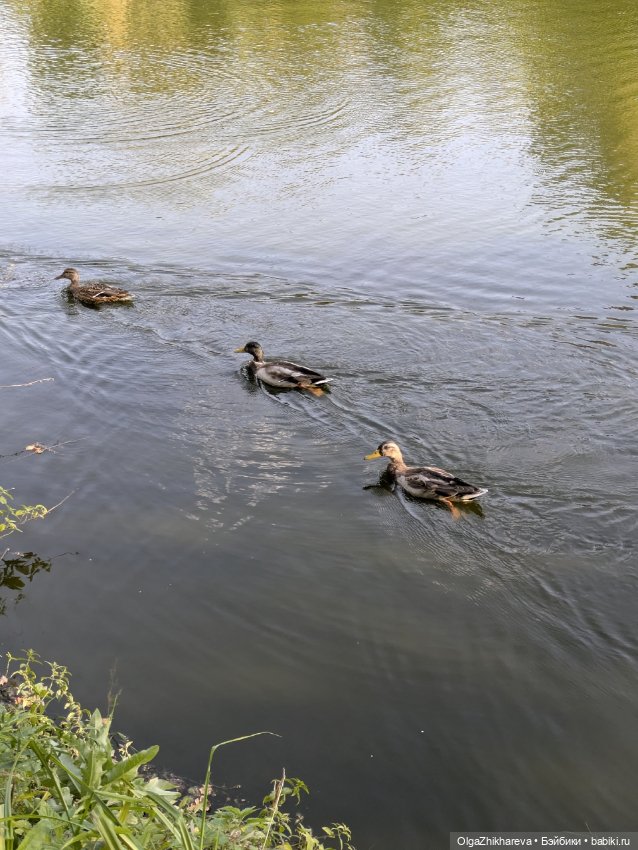 🍀🚃🚕Радостное возвращение домой!💖🏡🥳🥳🥳🥰 (фото 7)