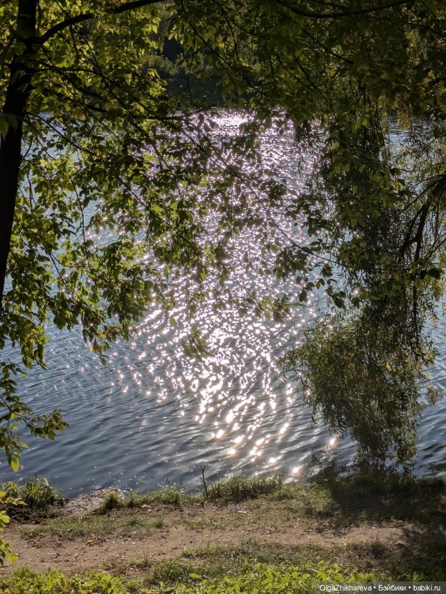 🍀🚃🚕Радостное возвращение домой!💖🏡🥳🥳🥳🥰 (фото 5)