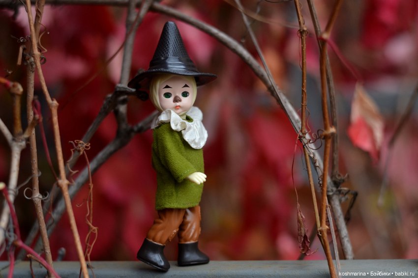 Волшебных три желания исполнит мудрый Гудвин (фото 9)