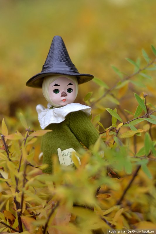 Волшебных три желания исполнит мудрый Гудвин (фото 7)