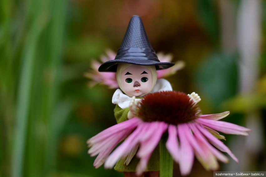 Волшебных три желания исполнит мудрый Гудвин