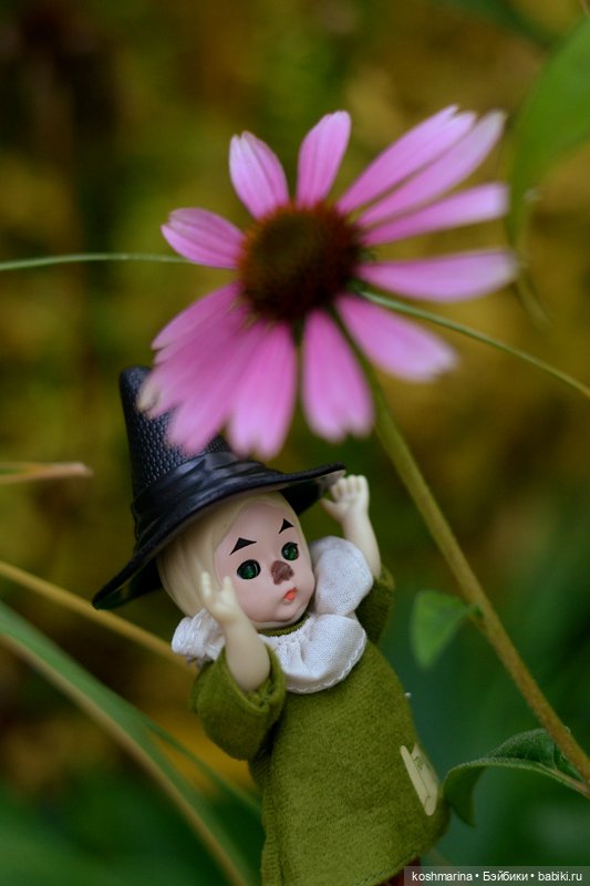 Волшебных три желания исполнит мудрый Гудвин