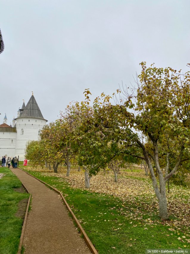 Ростовский Кремль с Оной (авт. Н.Петрова)
