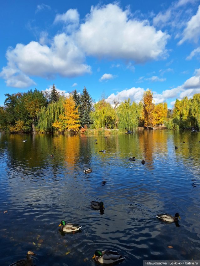 Осенние зарисовки 🍁 — Авторские куклы BJD (БЖД) у нас дома: фото (фото 8)