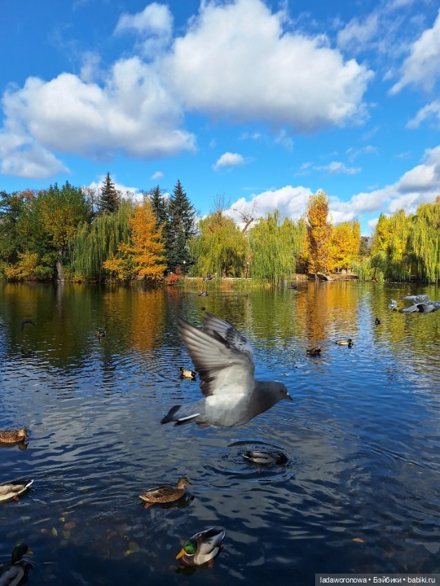 Осенние зарисовки 🍁 — Авторские куклы BJD (БЖД) у нас дома: фото (фото 9)
