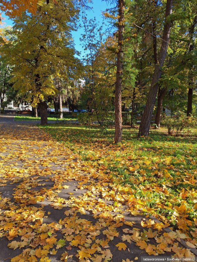 Осенние зарисовки 🍁 — Авторские куклы BJD (БЖД) у нас дома: фото
