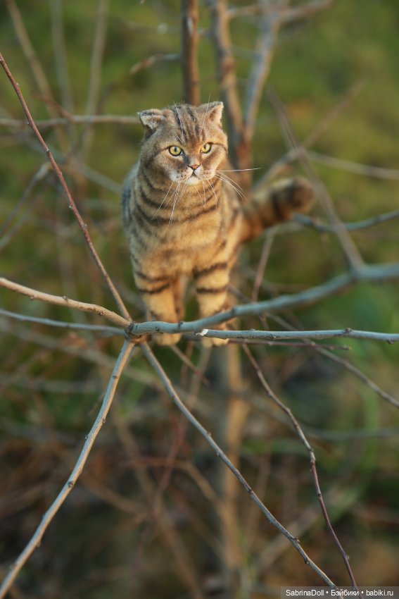 Куроножка и котики — Игрушки в смешанной технике (мех и глина): Арт (фото 4)