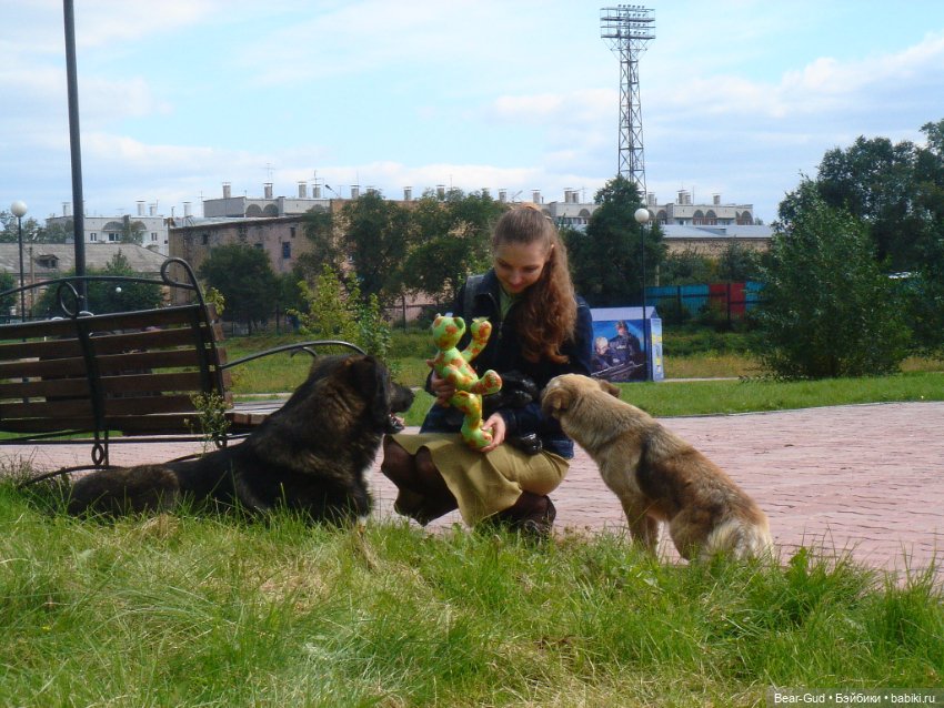 Медвежьи мемуары, часть 1 (фото 4)