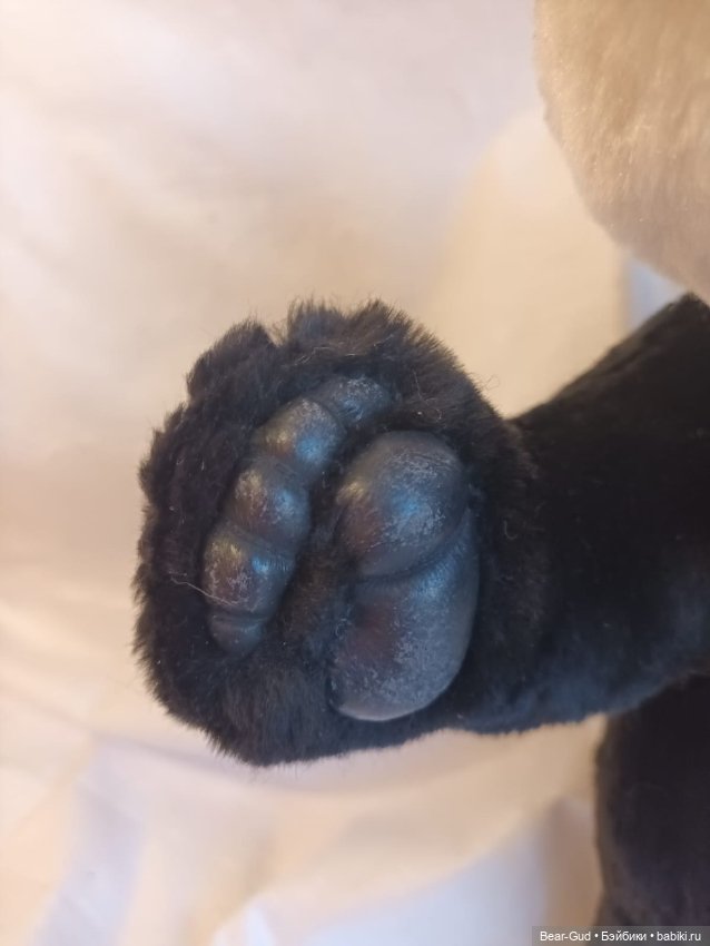 Медвежьи мемуары, часть 1 (фото 3)