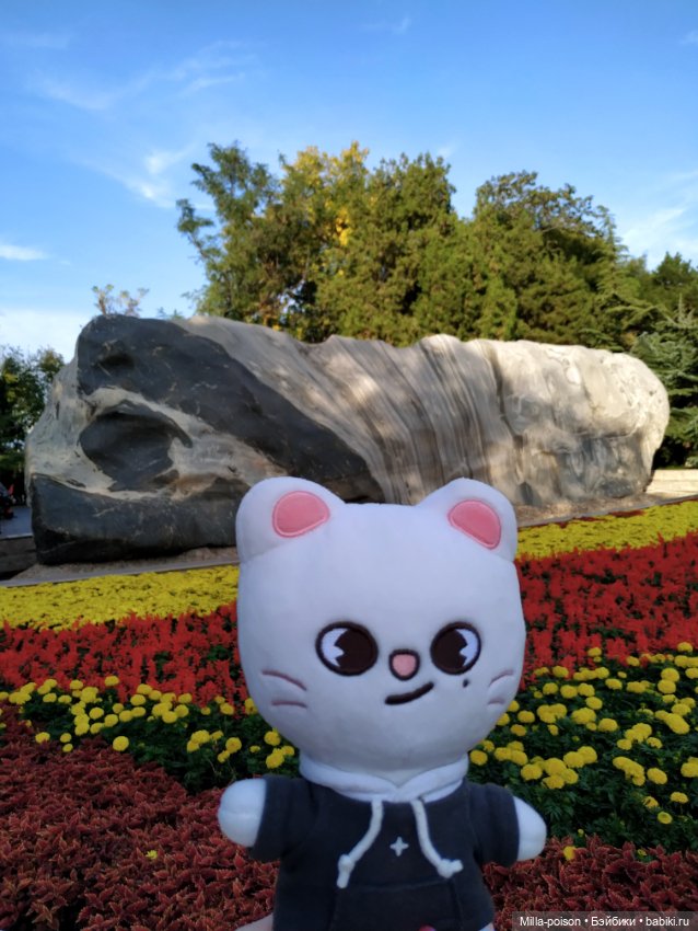 Jiniret прогулка в солнечный день или хорëк от хандры