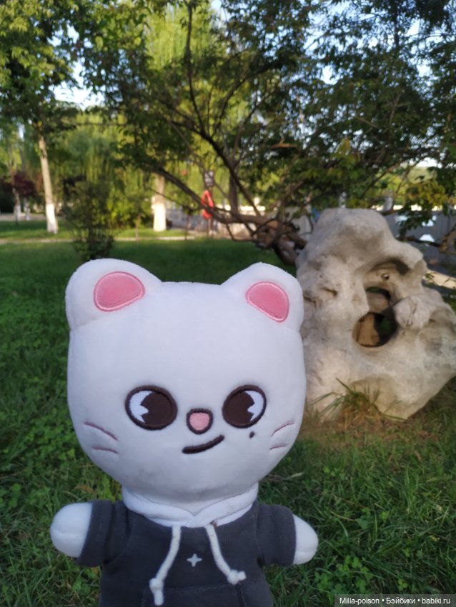 Jiniret прогулка в солнечный день или хорëк от хандры (фото 2)