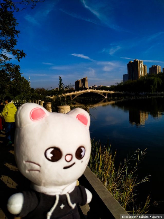 Jiniret прогулка в солнечный день или хорëк от хандры (фото 10)