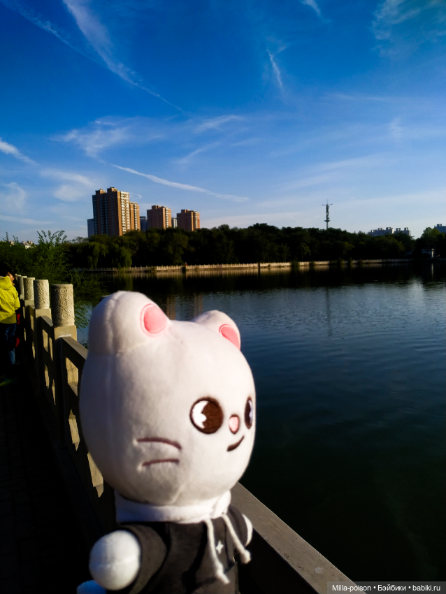 Jiniret прогулка в солнечный день или хорëк от хандры (фото 9)