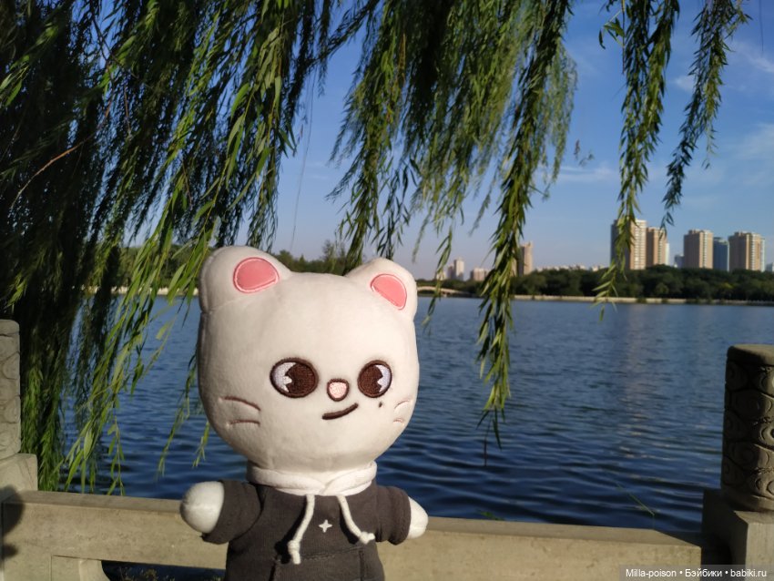 Jiniret прогулка в солнечный день или хорëк от хандры