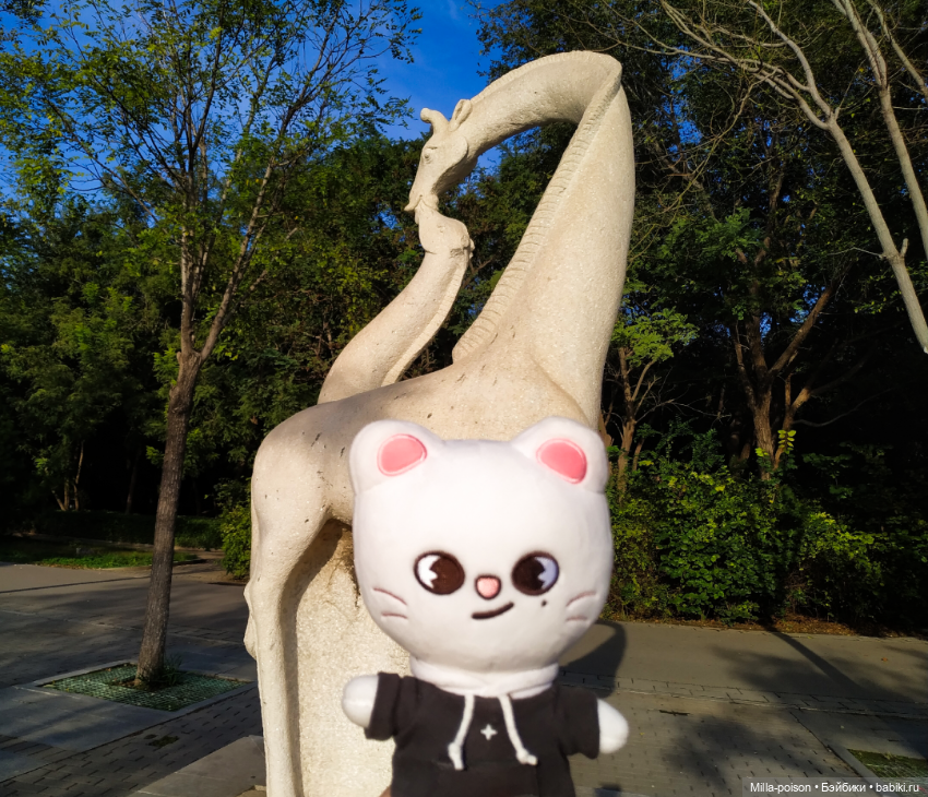 Jiniret прогулка в солнечный день или хорëк от хандры (фото 8)