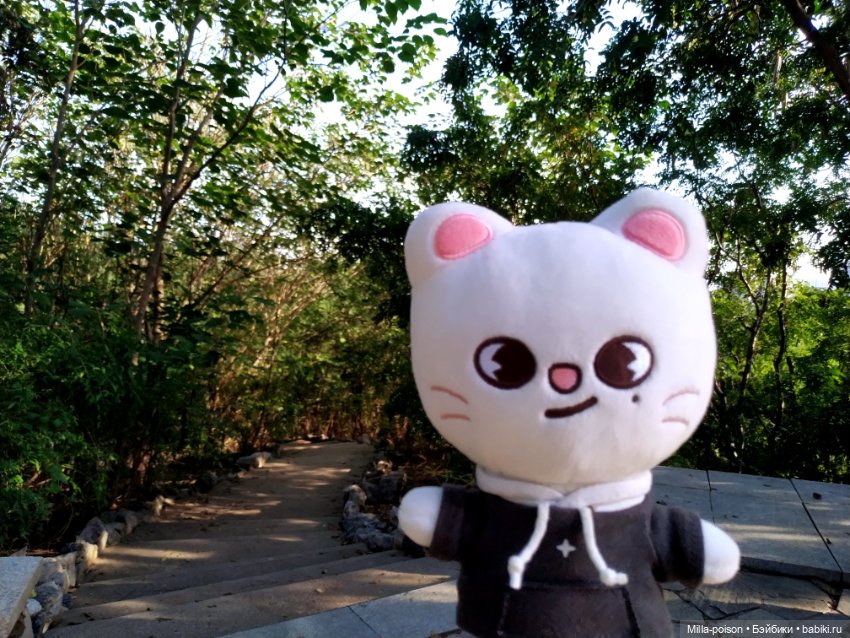 Jiniret прогулка в солнечный день или хорëк от хандры (фото 5)