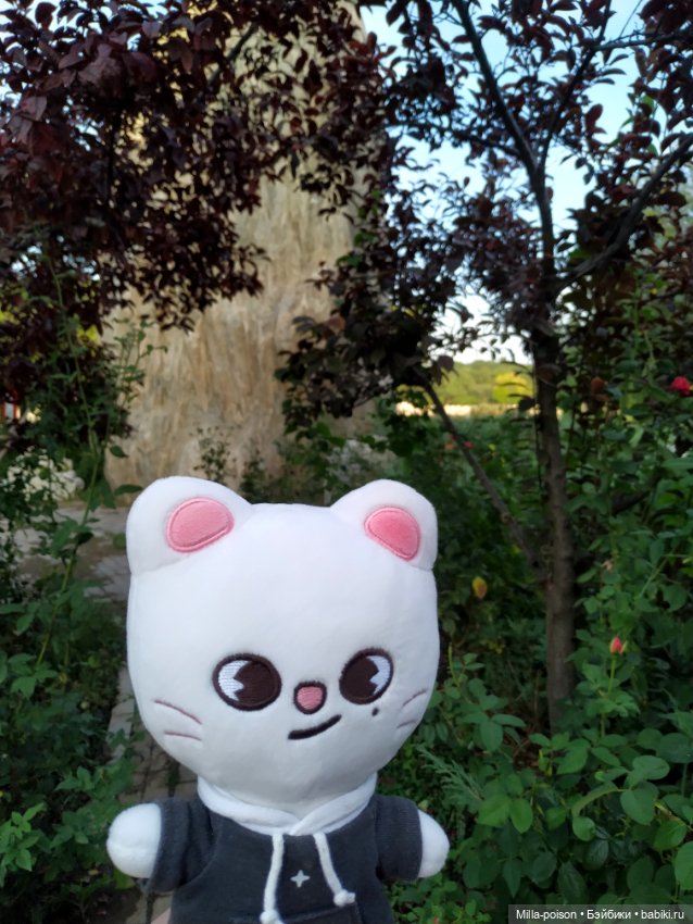 Jiniret прогулка в солнечный день или хорëк от хандры