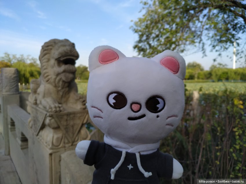 Jiniret прогулка в солнечный день или хорëк от хандры