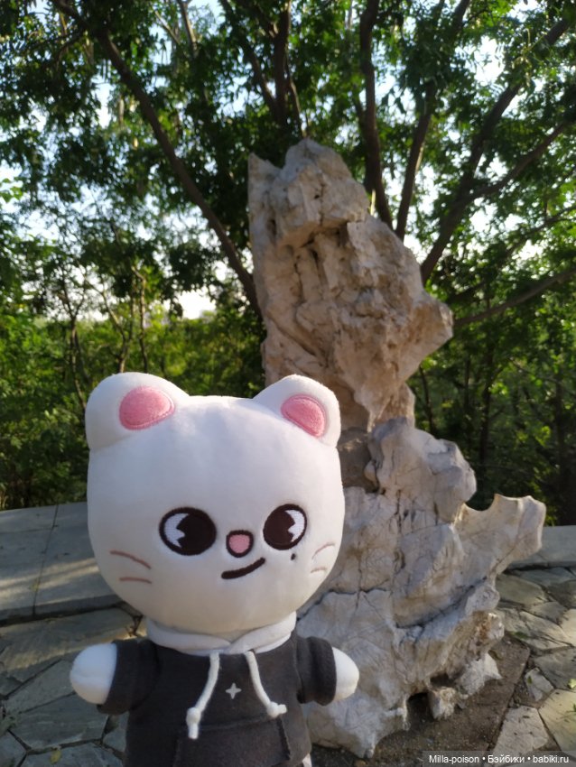 Jiniret прогулка в солнечный день или хорëк от хандры (фото 4)