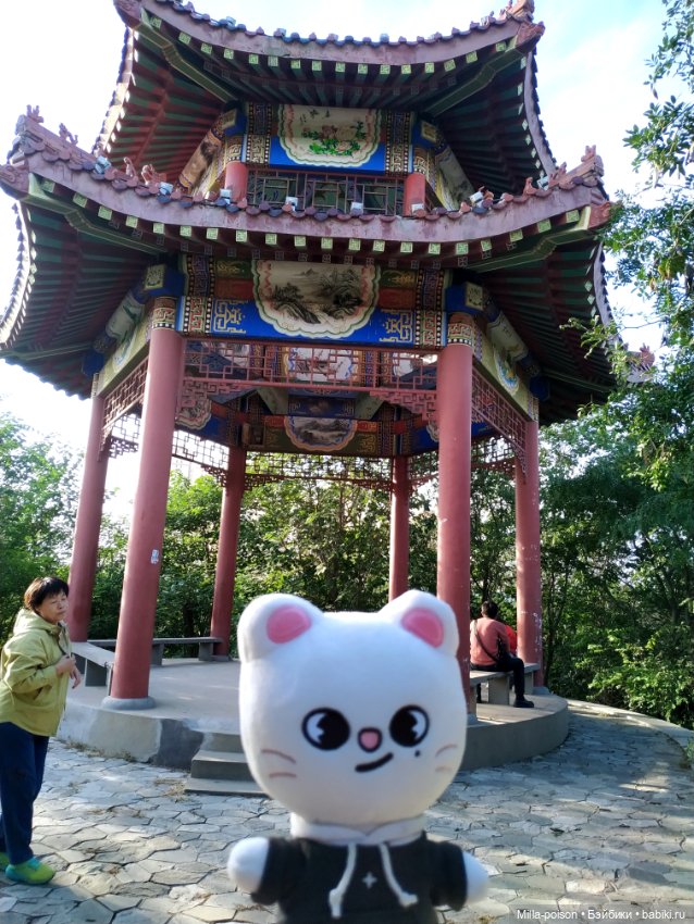 Jiniret прогулка в солнечный день или хорëк от хандры (фото 6)