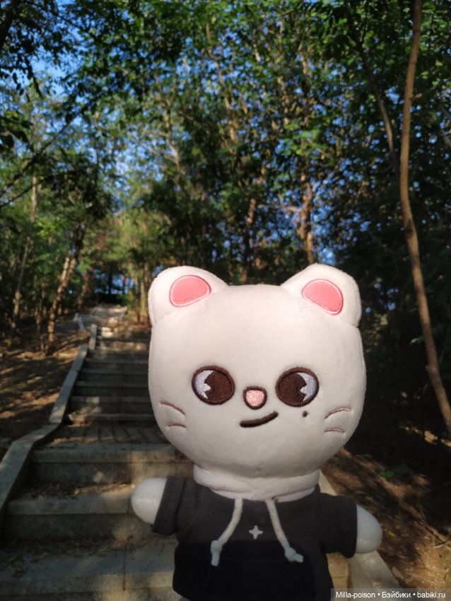 Jiniret прогулка в солнечный день или хорëк от хандры (фото 3)