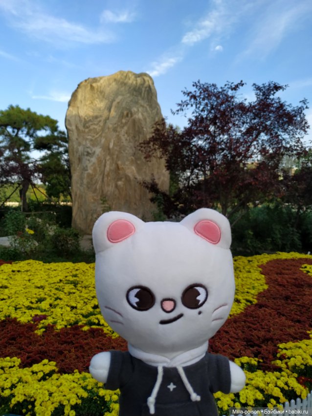 Jiniret прогулка в солнечный день или хорëк от хандры