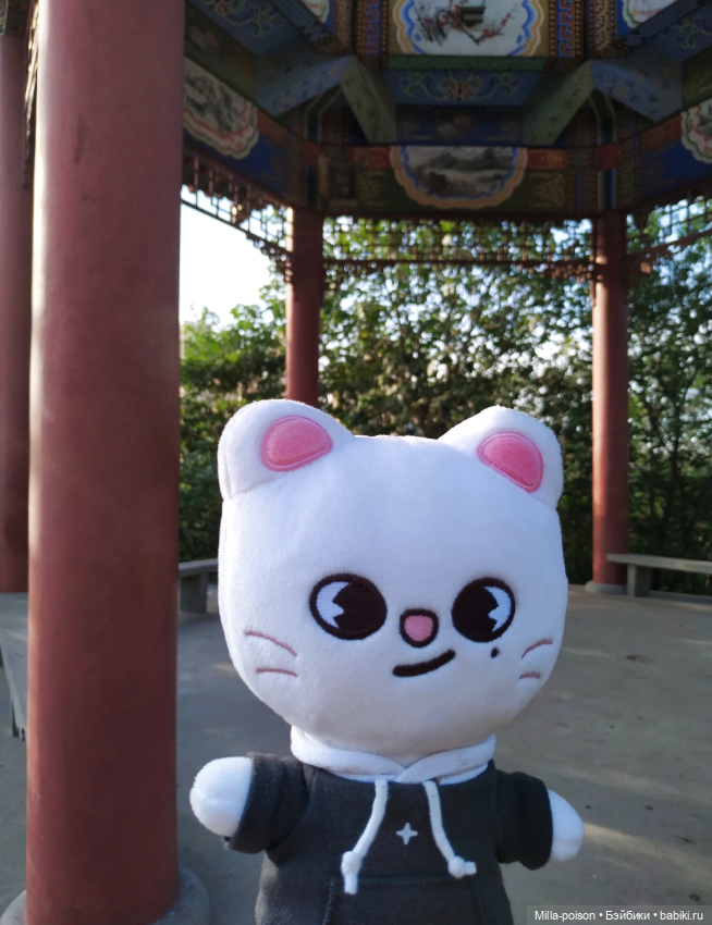 Jiniret прогулка в солнечный день или хорëк от хандры (фото 7)