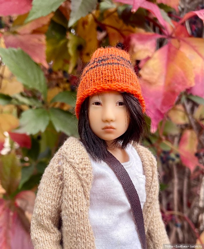 Осенняя Наби — Разные куклы BJD (БЖД): редкие бренды