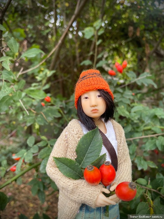 Осенняя Наби — Разные куклы BJD (БЖД): редкие бренды