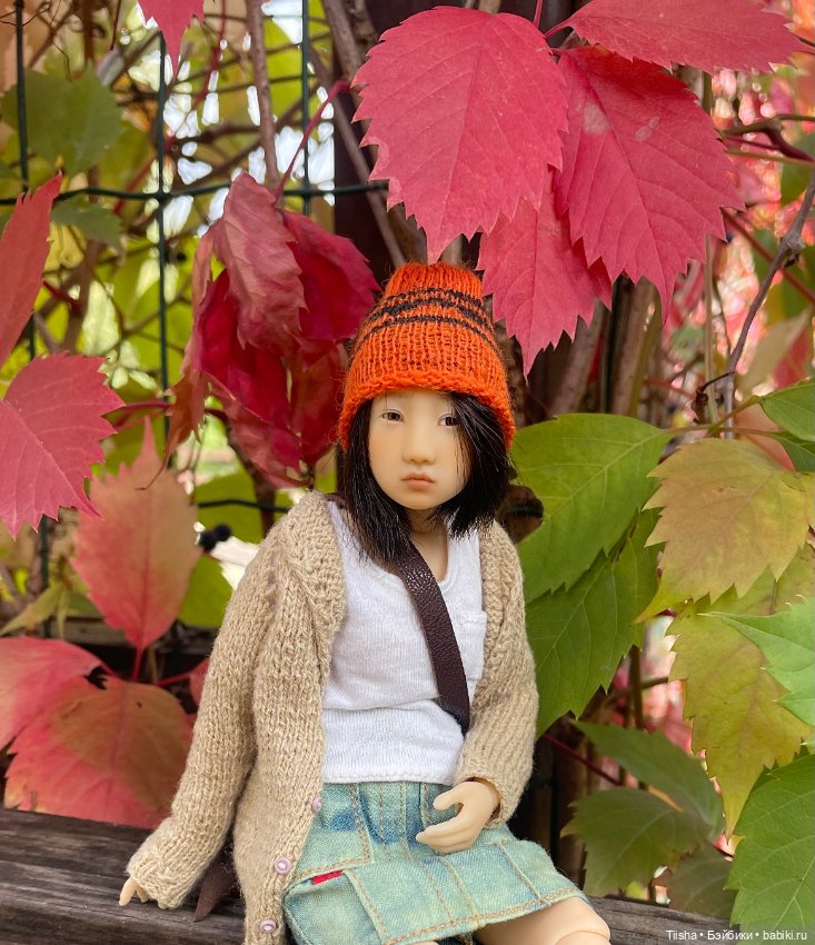 Осенняя Наби — Разные куклы BJD (БЖД): редкие бренды (фото 2)