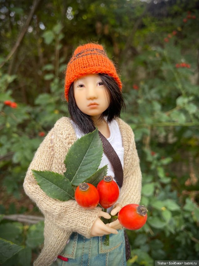 Осенняя Наби — Разные куклы BJD (БЖД): редкие бренды