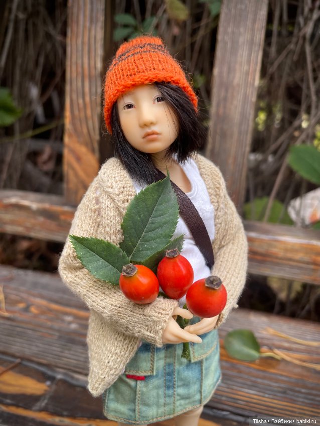 Осенняя Наби — Разные куклы BJD (БЖД): редкие бренды