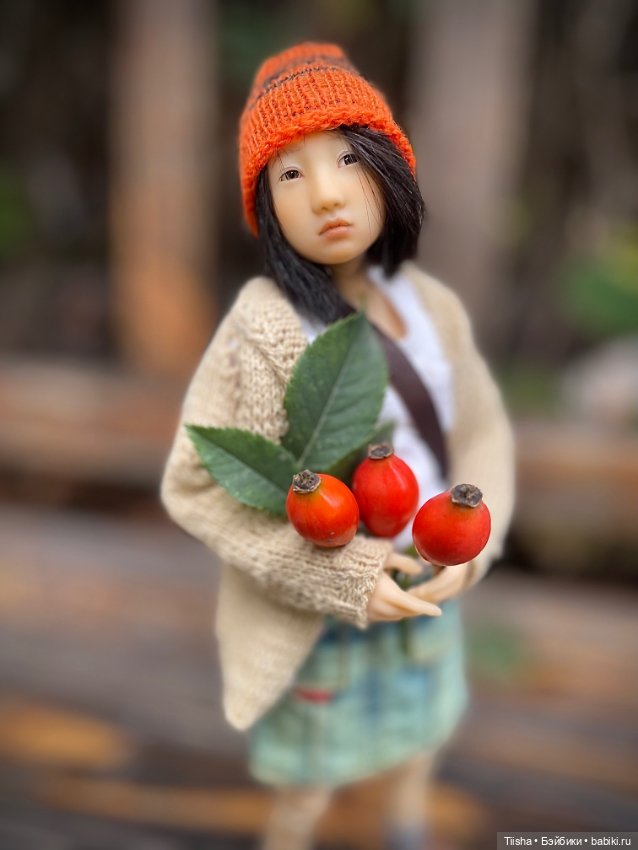 Осенняя Наби — Разные куклы BJD (БЖД): редкие бренды