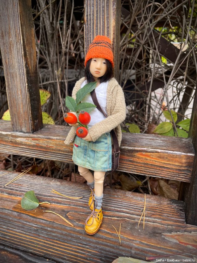 Осенняя Наби — Разные куклы BJD (БЖД): редкие бренды (фото 6)